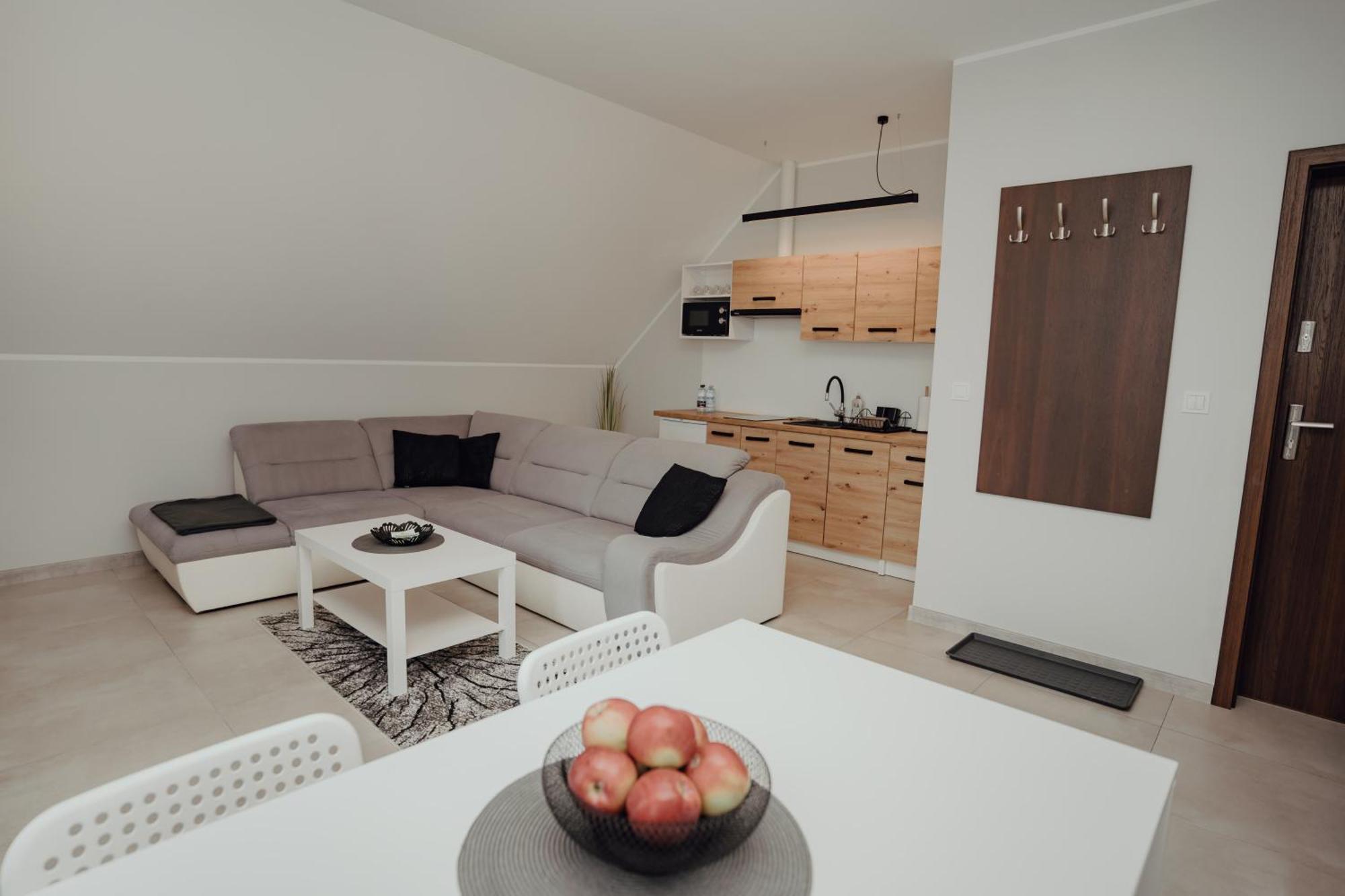 Apartamenty Kaszuba Хмєльно Екстер'єр фото